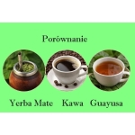 1.	Yerba mate vs guayusa vs kawa – która daje najlepszą energię? Zalety i wady.
